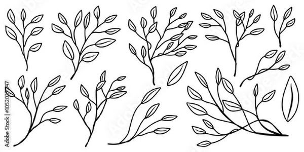 Fototapeta Hand drawn line art of plant in different variations for gardening element, coloring, template or pattern isolated.