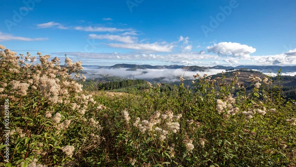 Fototapeta Herbstliche Landschaft im wunderschönen Sauerland