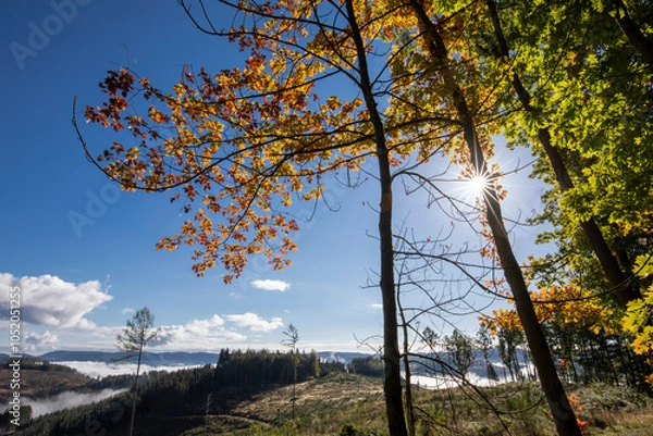 Fototapeta Herbstliche Landschaft im wunderschönen Sauerland