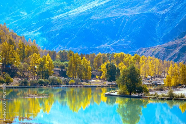 Obraz Autumn in the mountains. Sissu is a small town in India's Lahaul Valley of Himachal Pradesh. It is around 40 km from Manali and located on the right bank of the Chandrabhaga River.