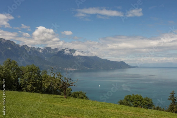 Fototapeta Vue du lac Léman