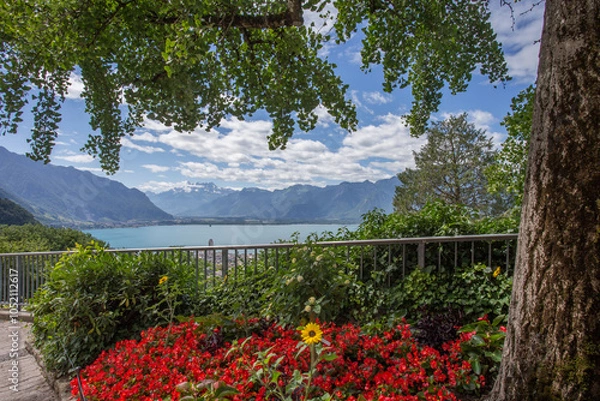Fototapeta Vue sur le lac Léman