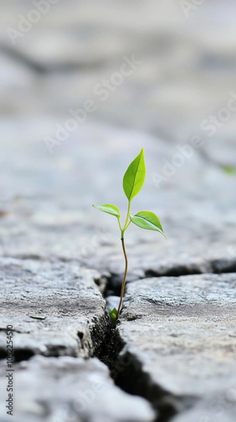 Fototapeta Minimizing mistakes hinges on maintaining a commitment to doing the right actions consistently. This means that the moment something is identified as wrong, you halt the action immediately. Regardless