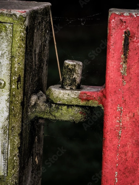 Obraz rusty gate