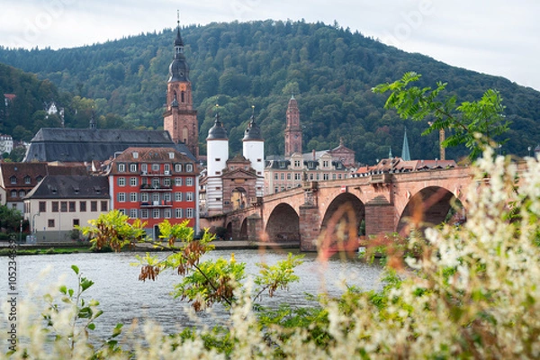 Obraz Heidelberg Alte Brücke im Herbst.
