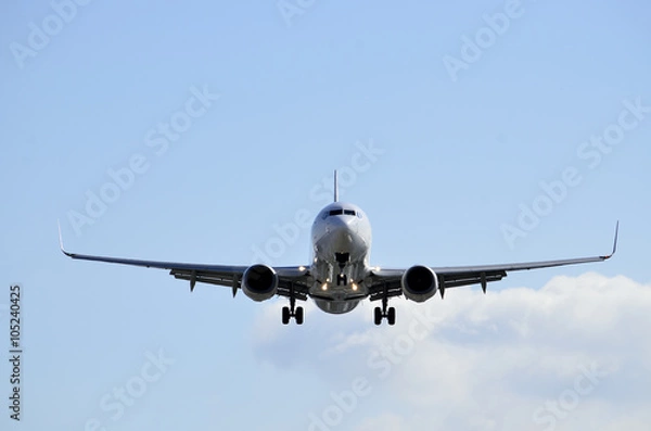 Fototapeta ジェット旅客機