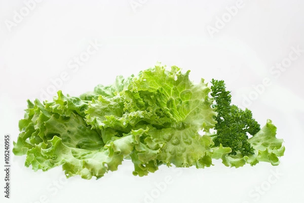 Fototapeta Fresh salad, parsley, dill isolated on white background.