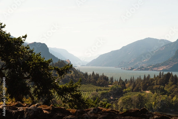 Obraz River in the mountains 