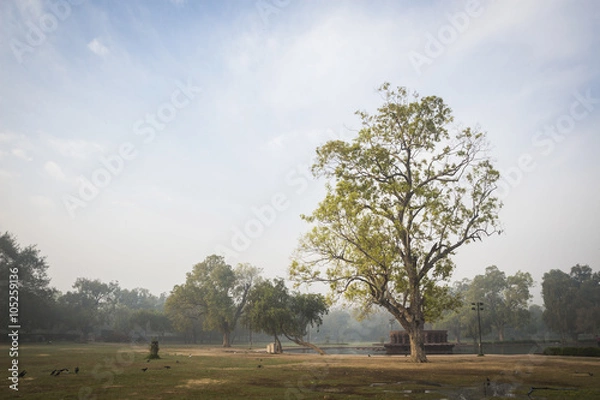 Obraz park bramy indii