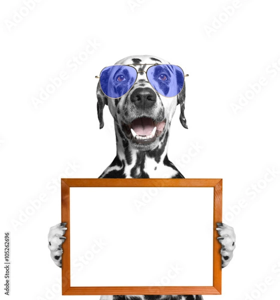 Fototapeta dog in glasses keeps frame in its paws