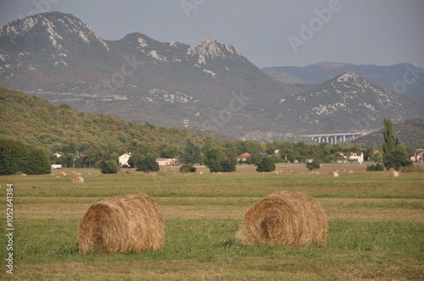 Fototapeta Baled dry hay in a field in Grobnik near the city of Rijeka in Croatia.Straw field with round dry hay bales in front of mountain range.
