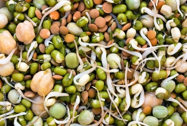 Obraz seed sprouts