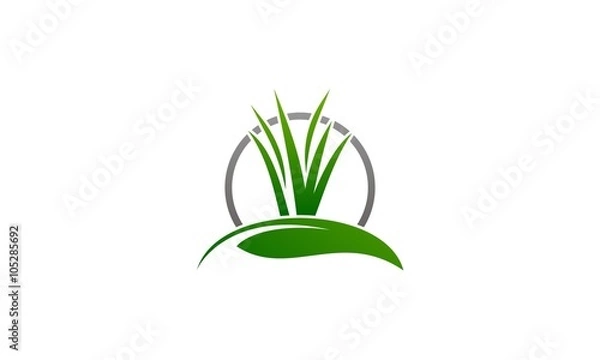 Obraz leaf grass