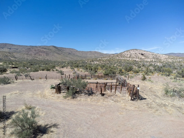 Obraz Old arizona desert coral
