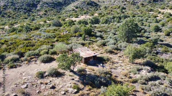 Obraz Arizona Wilderness Cabin 