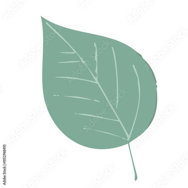 Obraz leaf isolated on white