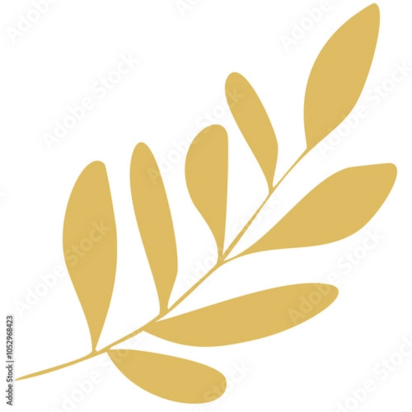 Obraz laurel leaves isolated on white