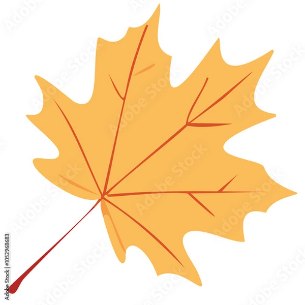 Obraz maple leaf isolated on white