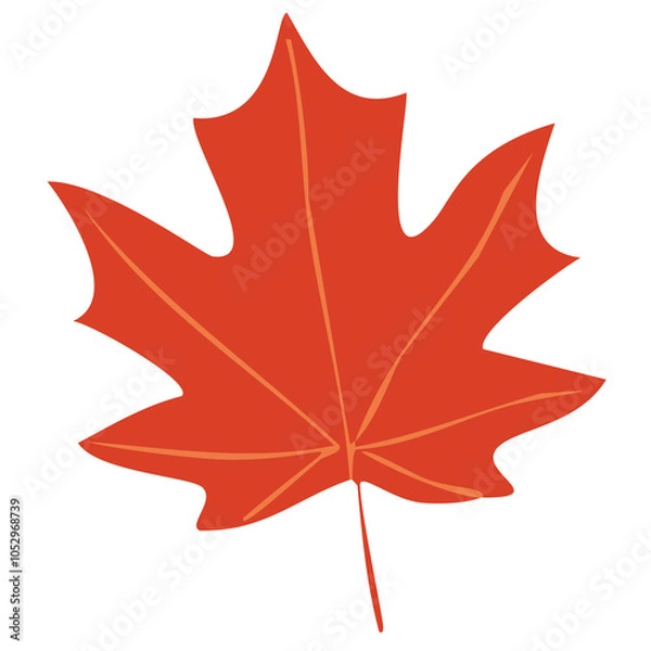 Obraz maple leaf isolated on white