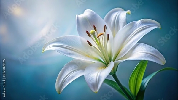 Fototapeta A close-up of a single lily flower with a pure white color and intricate details, lily, detail shots, petals, botanical illustration, organic forms