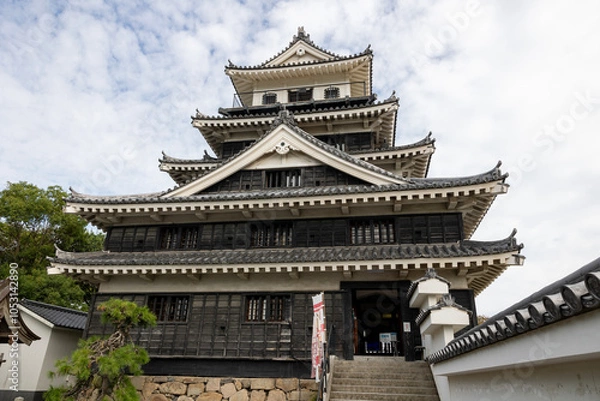 Fototapeta 中津城