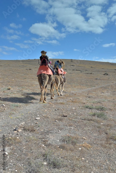 Obraz promenade en dromadaire