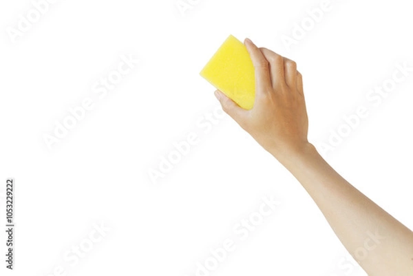 Obraz A hand holding a yellow sponge against a white background.copy space