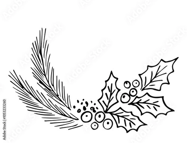 Fototapeta Round frame, leaves and berries of holly, coniferous branches. Christmas, New Year's decor. Simple hand drawn vector drawing with black outline, ink sketch.