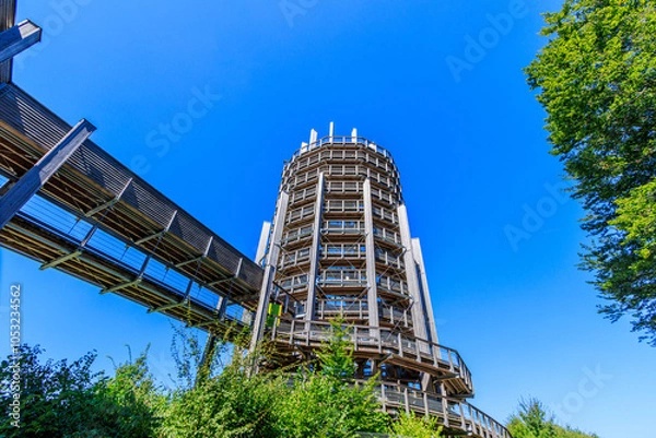 Fototapeta Baumwipfelpfad Panarbora, bei Waldbröl im Bergischen Land