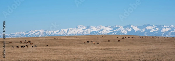 Fototapeta a pastoral scene with a herd of horses grazing on the vast golden steppe, set against a stunning backdrop of towering snow-capped mountains under a clear blue sky