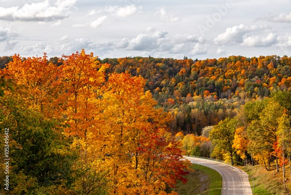 Fototapeta Beautiful colorful autumn view with visible road. Rest in autumn