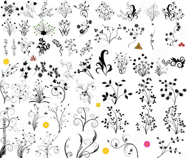 Obraz Floral vector element