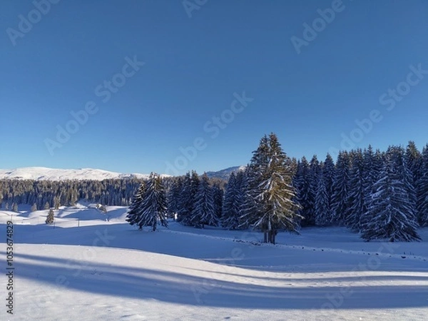 Obraz sunny winter landscape view from a mountain range