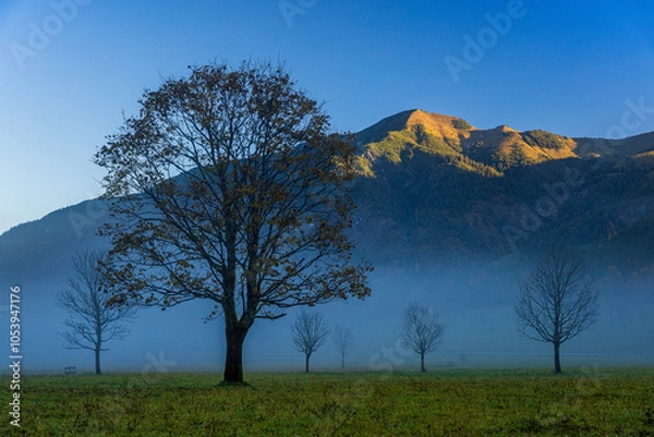 Fototapeta sunrise in the mountains of the alps in autumn with forest
