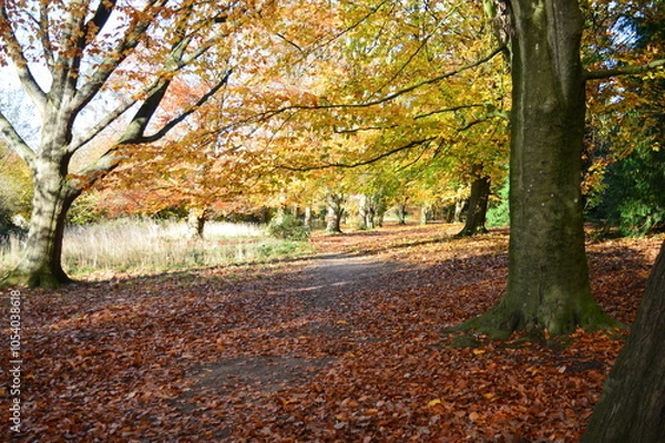 Obraz An English Autumn walk