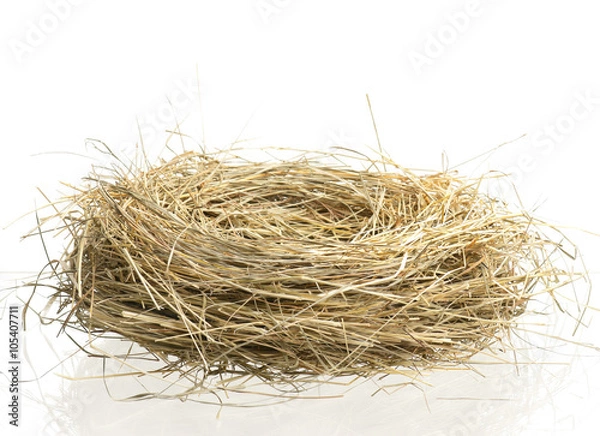 Fototapeta Empty birds nest