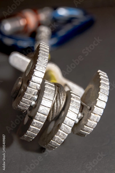 Obraz Cam on a gray background.