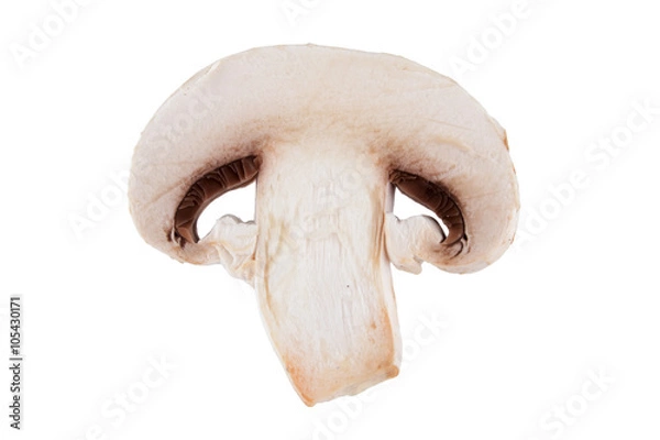 Fototapeta Slice mushroom champignon . Isolated on white background.