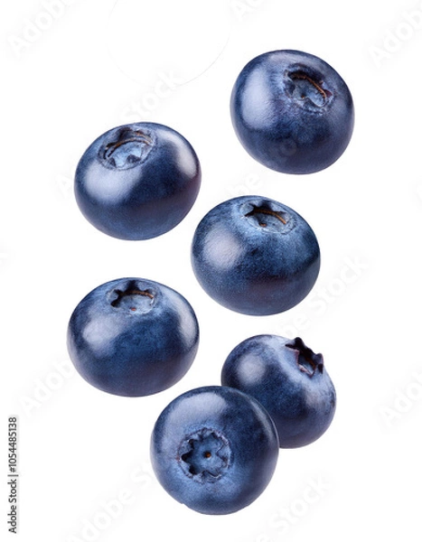 Obraz Falling blueberry berries on transparent