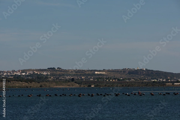 Fototapeta paesaggio marino