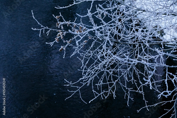 Fototapeta 霧氷と川