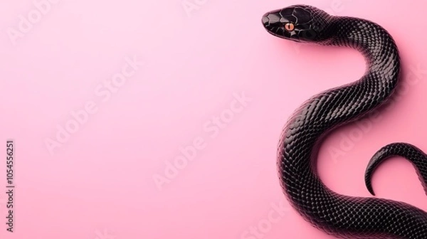 Fototapeta Black snake on pink background with ample space for text