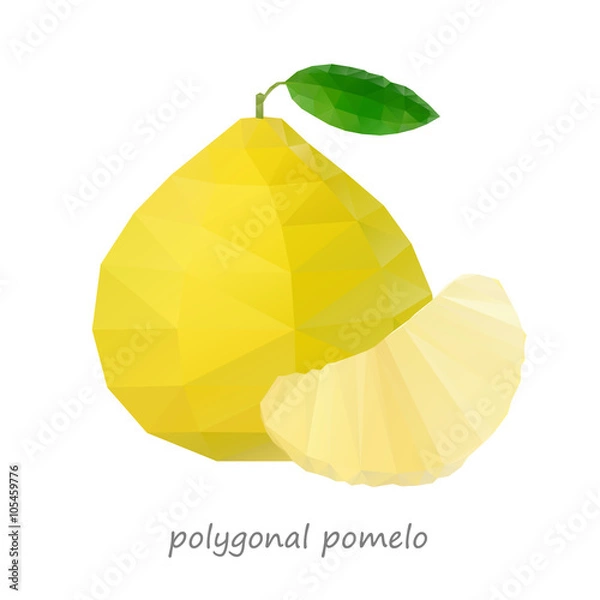 Obraz Polygonal Pomelo