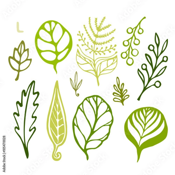 Obraz Handsketched leaves doodles set. Green silhouettes on white background. Vector