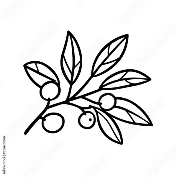 Obraz mistletoe vector white background