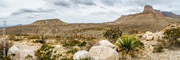 Obraz Guadalupe Mountains w Teksasie