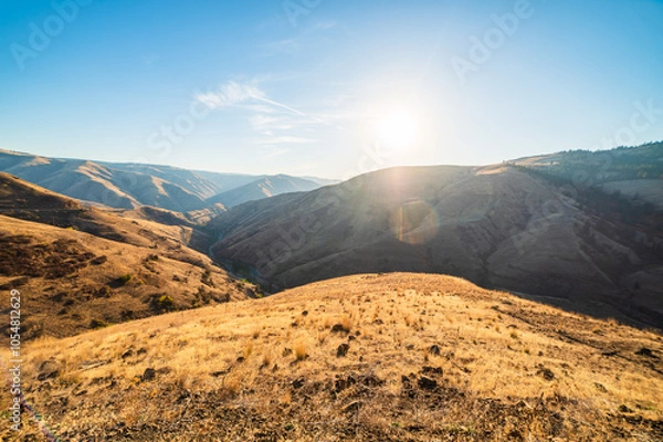 Obraz It's Dry And Beautiful