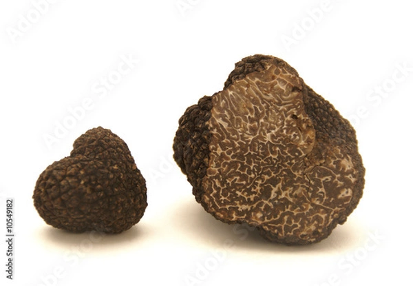 Fototapeta Kubek truflowy