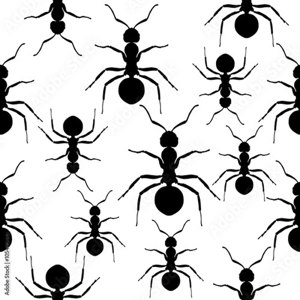 Fototapeta Ants Seamless black and white vector pattern.