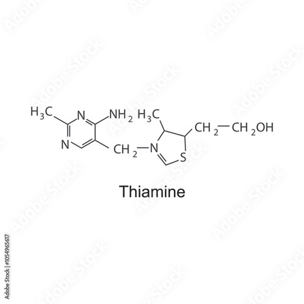 Fototapeta Thiamine skeletal structure diagram.Vitamin B1 compound molecule scientific illustration.